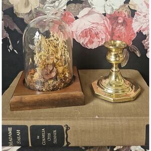 Vintage Dried Flowers Taxidermy Dome Wood Base Dark Academia Cottage